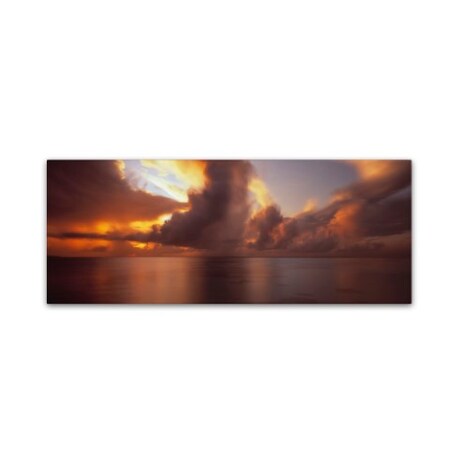 Trademark Fine Art